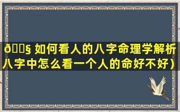 🐧 如何看人的八字命理学解析（八字中怎么看一个人的命好不好）